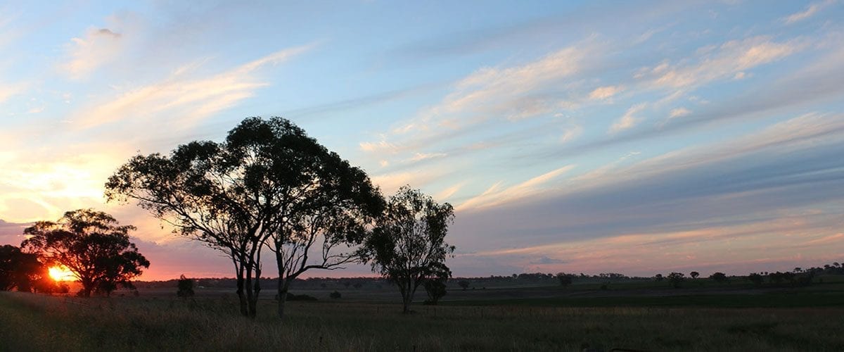 Gwydir Shire Project